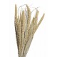 SPRAY MILLET 28" Natural- OUT OF STOCK